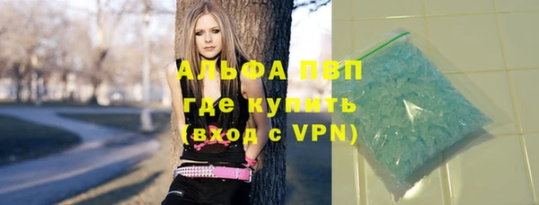 гашик Аркадак