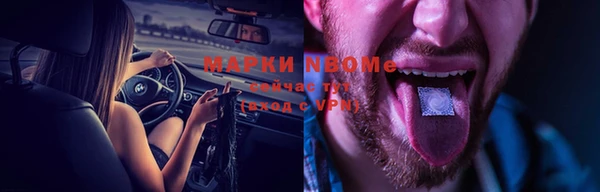 гашик Аркадак