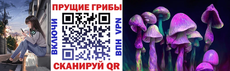 Псилоцибиновые грибы Psilocybe  где найти наркотики  Ухта 